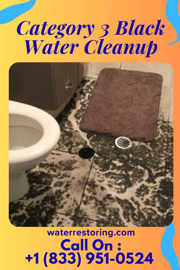 Category 3 Black Water Cleanup in Offerle, KS