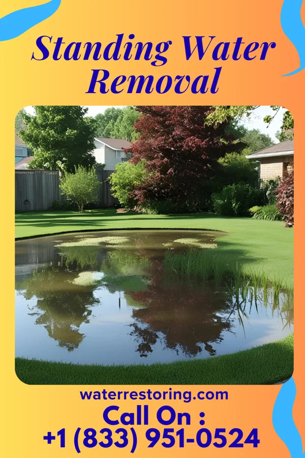 Standing Water Removal in Offerle, KS